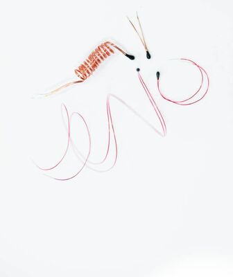 Эпоксидный термистор NTC с эмалированными свинцовыми проводами для цифровых термометров